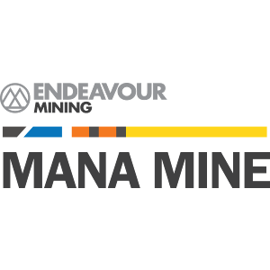 EDV-Mana-Mine-Logo