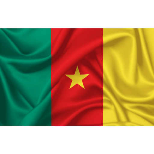  ⁠Team Cameroun